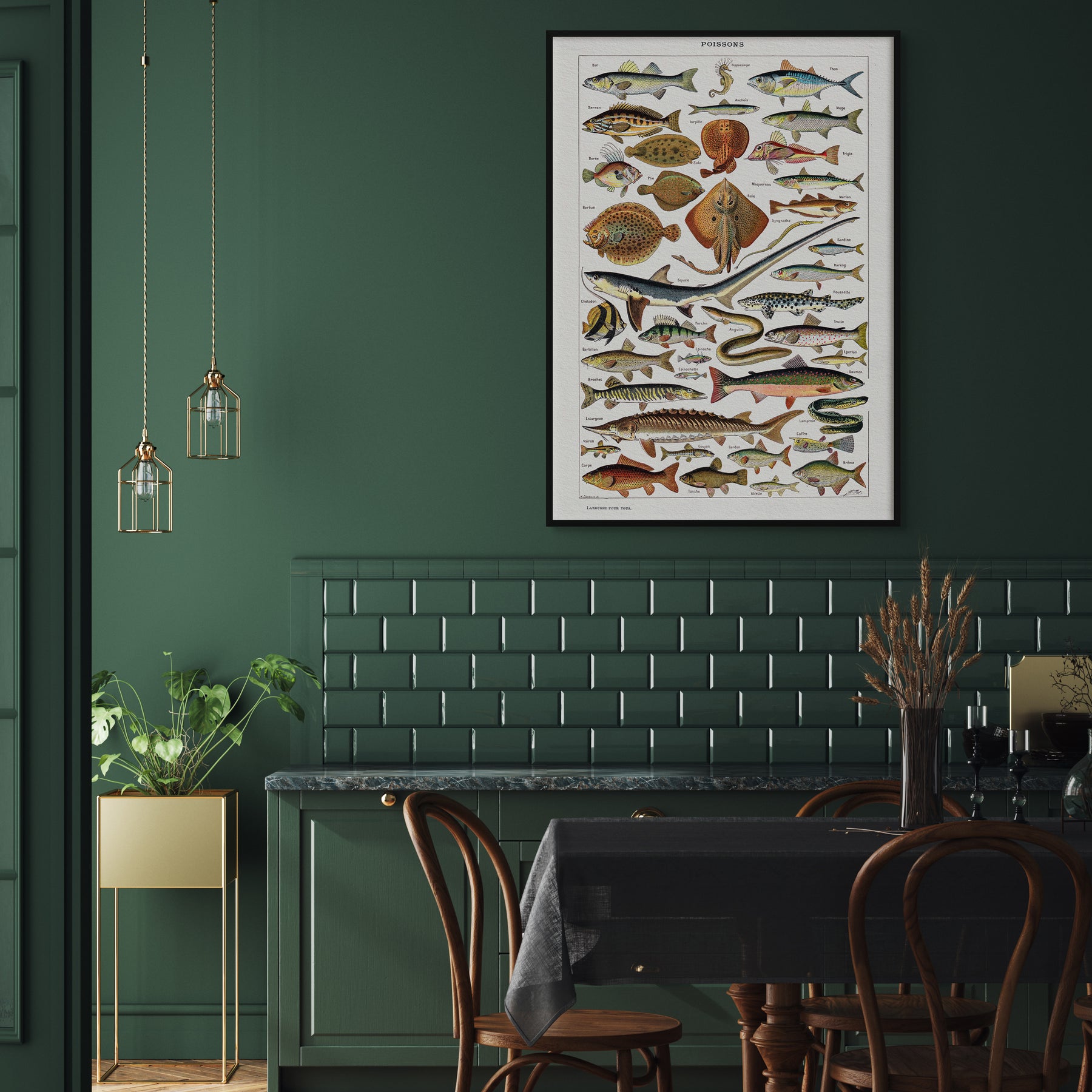 Kitchen Fish Poster Die Fische Poster für die Küche - design cartel